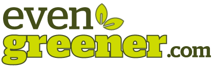 Store-logo