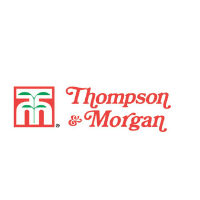 Store-logo