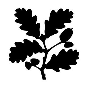 Store-logo
